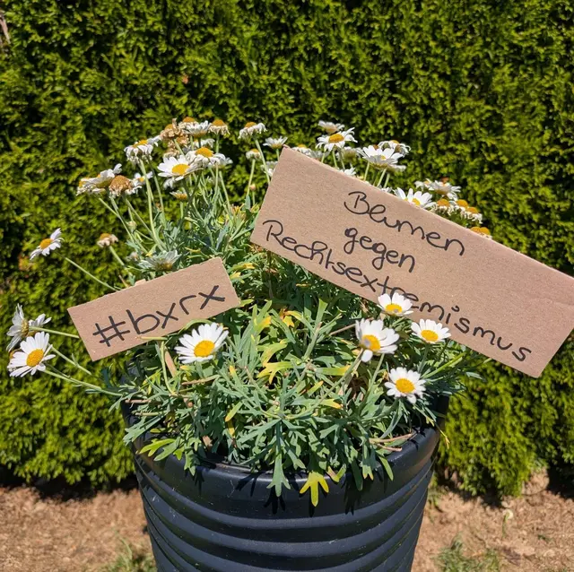Blumentopf mit dem Schild auf dem steht "Blumen gegen Rechtsextremismus"