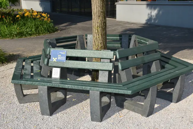 Elternverein Waldhausen hat  „Bewegungs- und Begegnungszone“ gewonnen. "Projekt der Regionen" der Raiffeisenbank Perg. | Foto: Robert Zinterhof