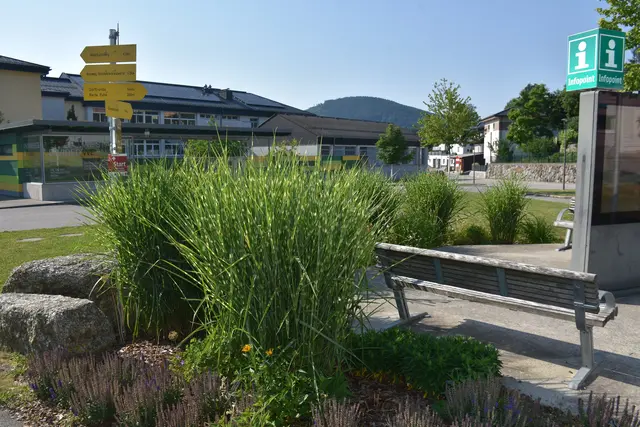 Infopoint Waldhausen. | Foto: Robert Zinterhof