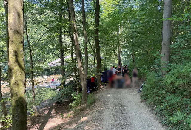 Die Reanimationsmaßnahmen fanden auf einem Waldweg direkt neben der Schwechat statt. | Foto: BFKDO BADEN / Stefan Schneider