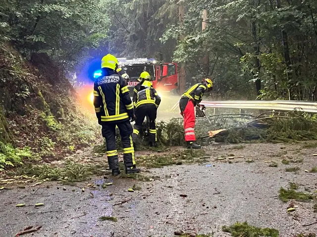 Foto: FF Rohrbach im Mühlkreis
