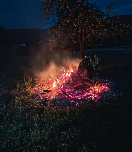 Foto: Freiwillige Feuerwehr Erdmannsdorf