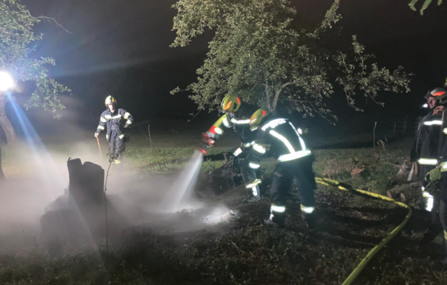 Foto: Freiwillige Feuerwehr Erdmannsdorf