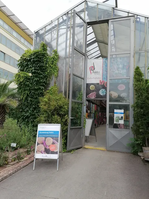 Foto: Botanischer Garten Universität Wien