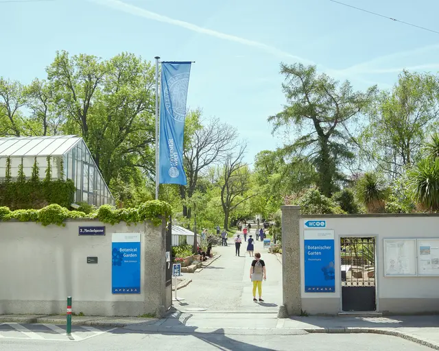 Im Botanischen Garten kann man ab Samstag, 4. Juli, die Schönheit und Vielfalt von Pollenkörnern kennenlernen.  | Foto: Botanischer Garten Universität Wien