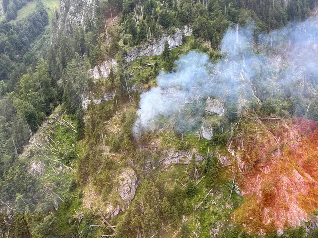 Brandherd im Bereich des Arikogels nahe Ebensee. | Foto: BFKDO Gmunden