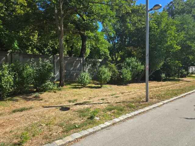 Die Straßenreinigung wird temporär ohne Wasser durchgeführt und die Bewässerung von Grünflächen eingeschränkt. | Foto: Ipirotis/MeinBezirk
