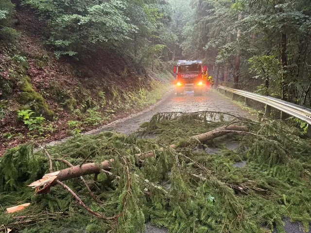 Foto: FF Rohrbach im Mühlkreis