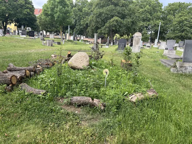 Bisher gab es laut den Friedhöfen Wien noch keinen Anlass zum Einschreiten. Auch bei den Besuchern, die die Urban-Gardening-Flächen nutzen, soll es bisher keine Beschwerden gegeben haben. | Foto: Marlene Graupner/MeinBezirk