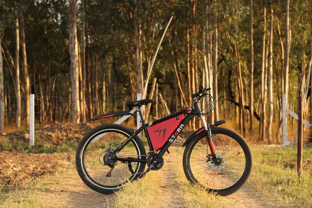 Ein 31-jähriger Schweizer stürzte bei einer E-Bike-Tour im Horlachtal. (Symbolbild) | Foto: pixabay