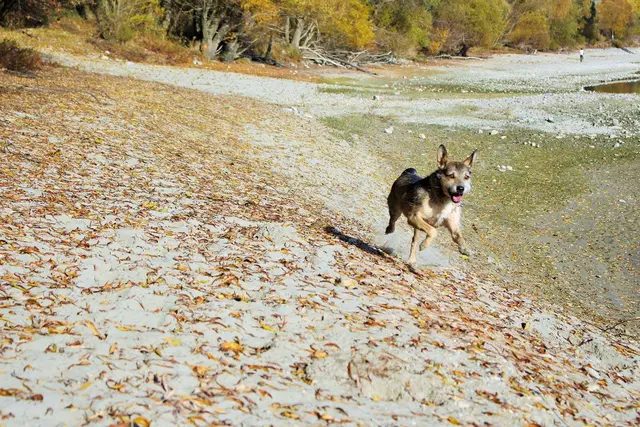 Foto: Sadiki-Peckary