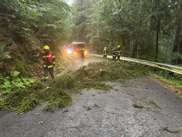 Die FF Rohrbach im Mühlkreis wurde heute schon bald in der Früh zu einem Einsatz gerufen. | Foto: FF Rohrbach im Mühlkreis