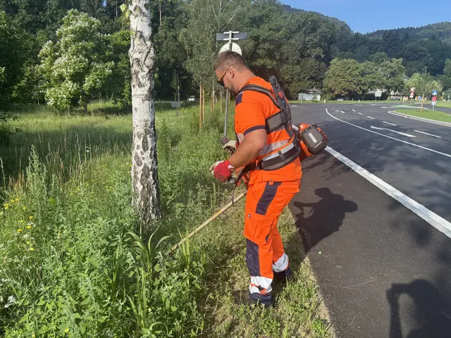 Gerade jetzt im Sommer werden viele Mäharbeiten entlang der Landes- und Bundesstraßen verrichtet.  | Foto: MeinBezirk.at/Christina Zwander