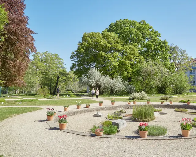 Foto: Botanischer Garten Universität Wien