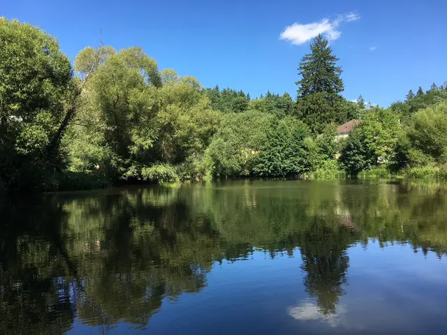Für Abkühlung im Wasser gibt es im ganzen Waldviertel naheligende Möglichkeiten. | Foto: privat