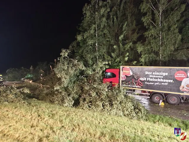 Der Lkw konnte nicht mehr rechtzeitig bremsen und krachte in einen Baum. | Foto: FF Haslach