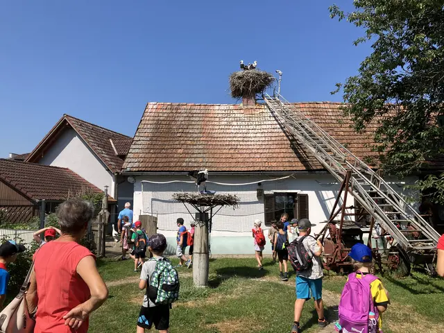 Die Kinder staunten über die Storchenstation von Josef Haberl. | Foto: Weixler