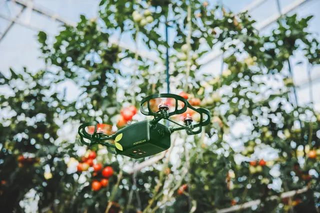 Die autonome und KI-unterstützte Drohne kann Ernteprognosen abliefern und Schädlinge bei Tomatenpflanzen erkennen. | Foto: avemoy