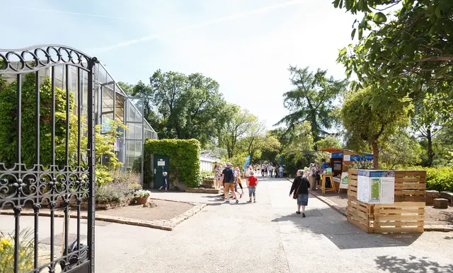 Foto: Botanischer Garten Universität Wien