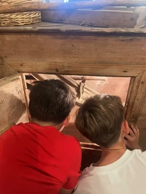 Foto: Erez Gönül