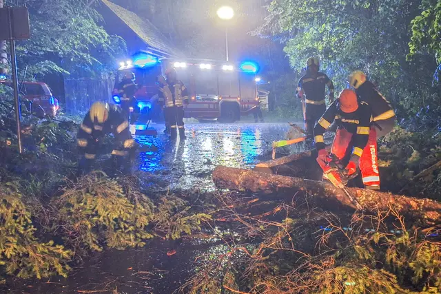 Nach heftigen Sturmböen mussten in Bad Goisern umgestürzte Bäume von einer Straße beseitigt werden. | Foto: FF Bad Goisern