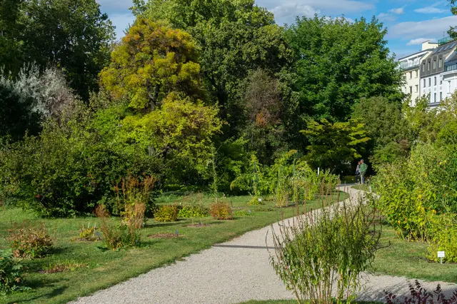 Foto: Botanischer Garten Universität Wien