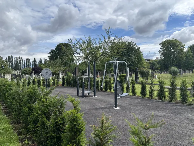 Die neuen Trainingsgeräte am Meidlinger Friedhof laden zu sanfter Bewegung im Freien ein. Dieses neue Angebot kommt aber nicht bei allen Besucherinnen und Besuchern gut an.  | Foto: Marlene Graupner/MeinBezirk