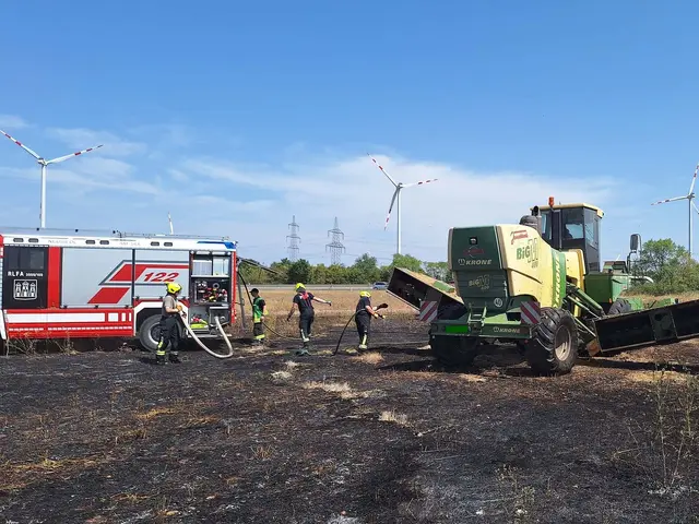 Beim Flurbrand im Bereich der Teichäcker neben dem A4-Rastplatz standen die Feuerwehren Neusiedl am See und Weiden am See im Einsatz. | Foto: FF Neusiedl am See
