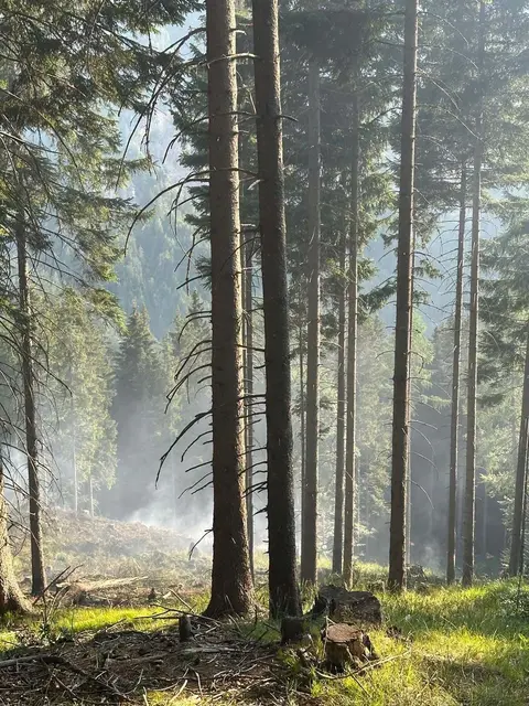 Foto: Feuerwehr Hermagor