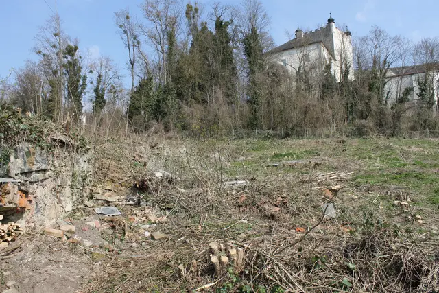 Foto: MeinBezirk/Gernot Fohler
