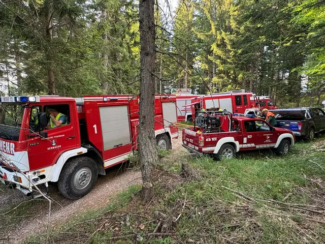Foto: Feuerwehr Hermagor