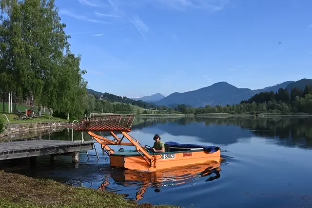 Mithilfe eines speziellen Mähbootes darf der Bewuchs reduziert werden. 