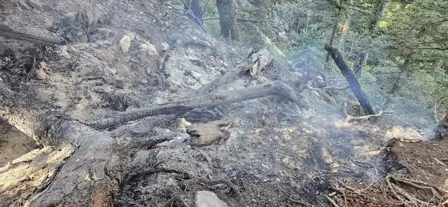 Foto: Feuerwehr Lofer