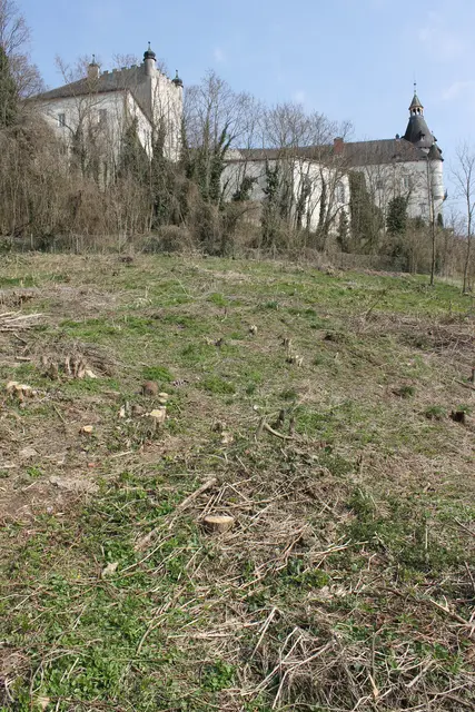 Foto: MeinBezirk/Gernot Fohler
