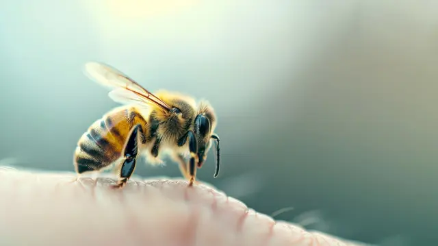 Da der Sommer klimawandelbedingt früher startet, können überwinternde Königinnen früher mit Nestbau und Eiablage beginnen. | Foto: AlexandraRooss, AdobeStock (KI-generiert)