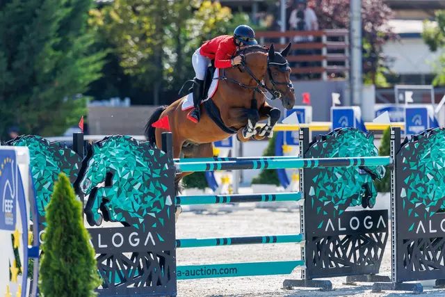 Bianca Babanitz auf Dakato beim CSIO3*-Turnier in Budapest. | Foto: Tomas Holcbecher