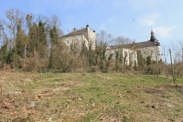 Foto: MeinBezirk/Gernot Fohler
