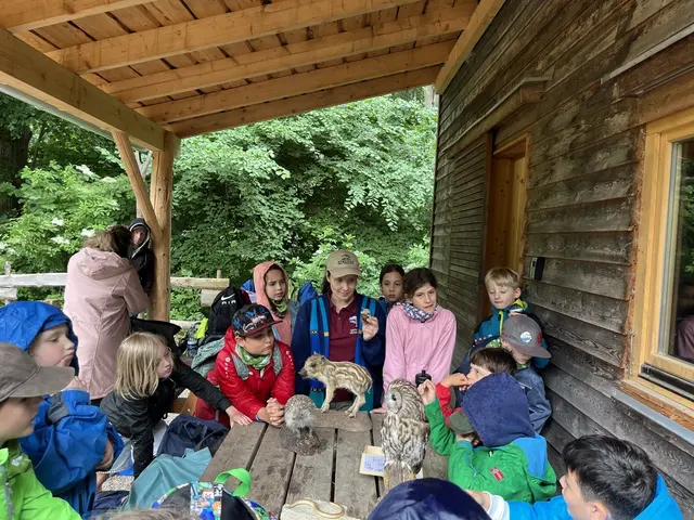 Beim Mödlinger Waldklassenzimmer erfuhren die Schüler:innen anhand von Tierpräparaten Spannendes über die heimischen Waldbewohner und ihre Lebensweise. 
 | Foto: LPV/A. Lembke