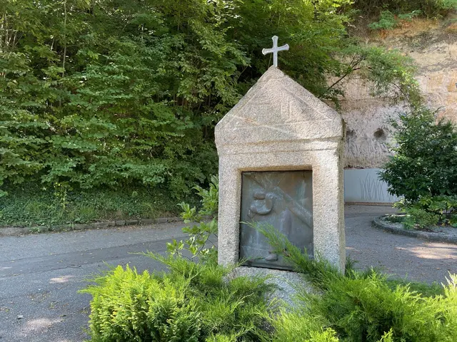 "Aus dem Leben bist Du uns genommen,
aber nicht aus unseren Herzen." | Foto: MeinBezirk Perg/leon