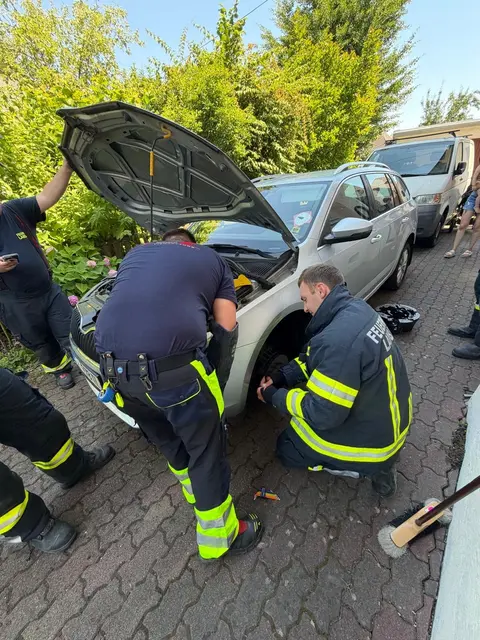 Die Tierhilfe Gusental kämpfte sich mit der Lambacher Feuerwehr durch den ganzen Motorraum eines Pkw, um einen eingeklemmten Marder zu retten. | Foto: THG