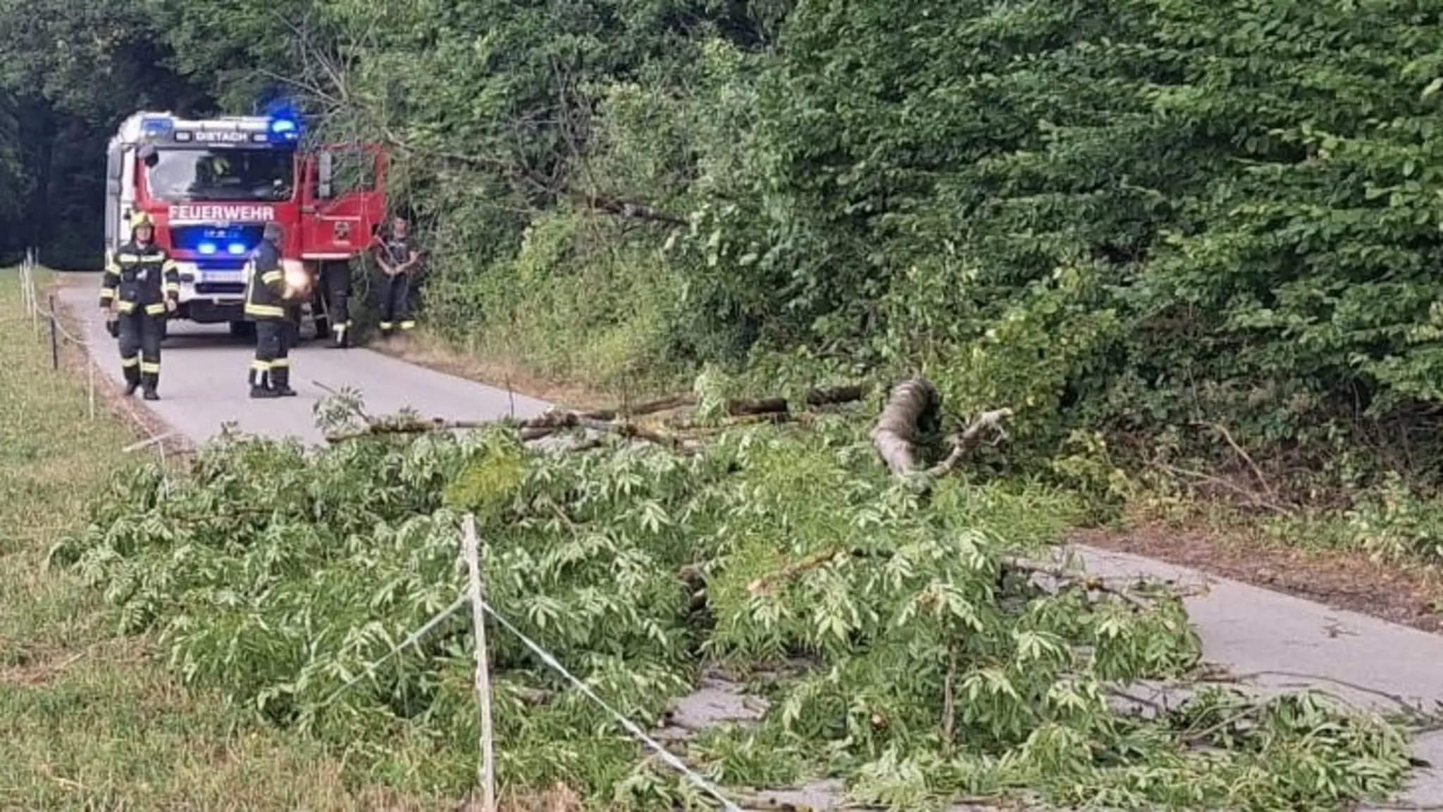 Fire Department in Action: Fallen ash tree blocked Stöffelbauerstraße - ...