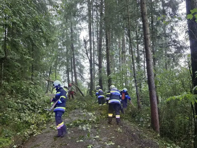 Einsatz für die Freiwillige Feuerwehr Edelsdorf. Mehrere Bäume lagen über der Straße auf der Hofzufahrt am Schüttgassenweg. 