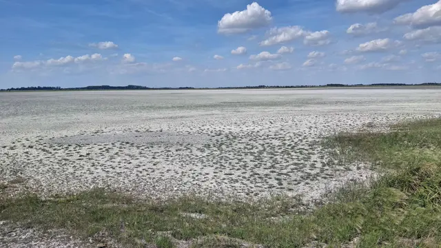 Auch der Langen Lacke nahe Apetlon droht das engültige Aus. | Foto: Michael Dvorak