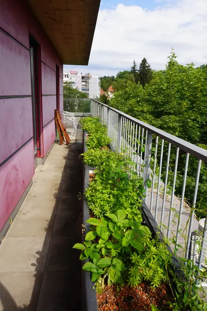 Foto: Uni Graz