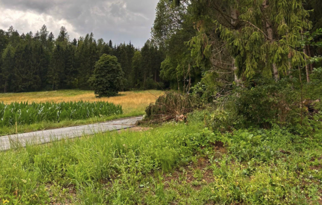 Foto: Freiwillige Feuerwehr Hörzendorf Projern