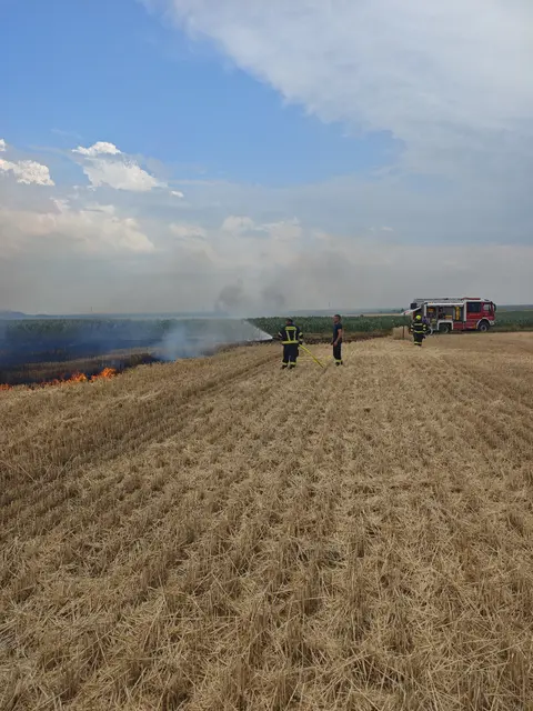 Die Einsatzkräfte bekämpften den Vegetationsbrand gleichzeitig von mehreren Seiten, um eine weitere Ausbreitung zu verhindern. | Foto: BFKDO EU - Rene Fasching
