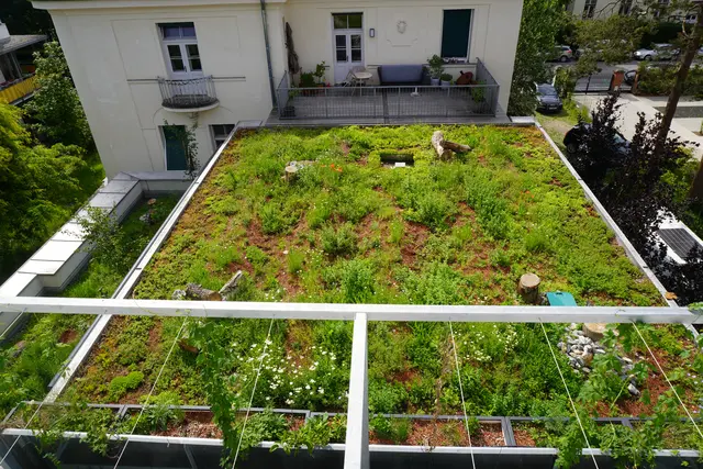 Bislang fehlten Vergleiche zwischen Vorher und Nachher bei Begrünungen von Gebäuden. Diese Lücke soll sich nun schließen. | Foto: Uni Graz