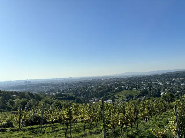 Die Wettervorhersage für das erste Ferienwochenende in Wien. (Archiv) | Foto: Rosa Besler/meinbezirk