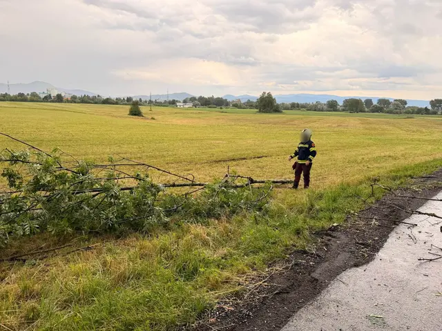 Foto: Feuerwehr Viktring - Stein/Neudorf