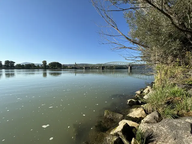 Die Donaubrücke Stein - Mautern | Foto: sg